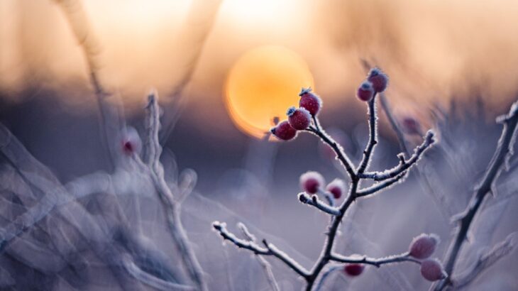 暦で古の先人達を想う｜【冬至】